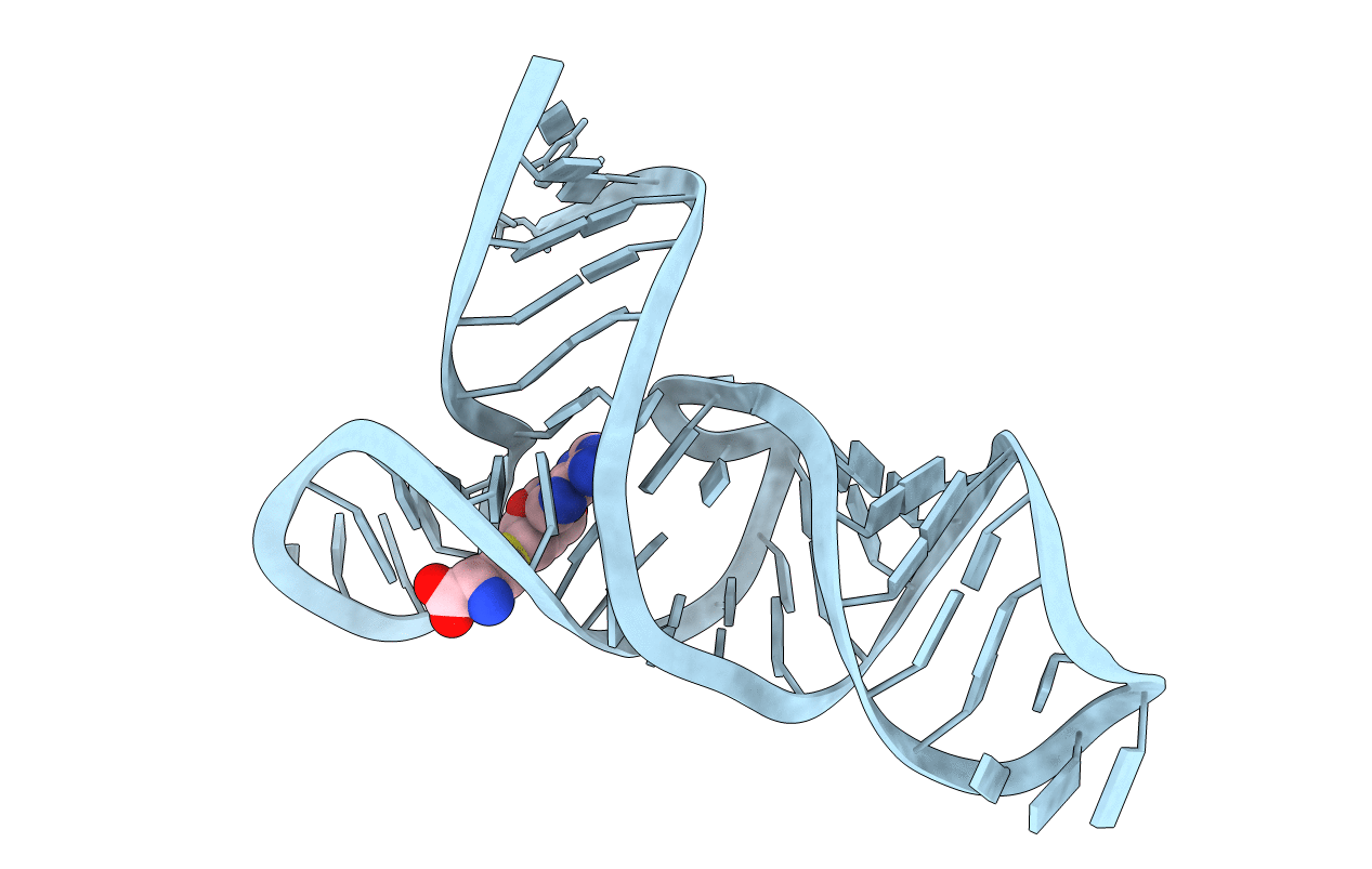 3E5E image