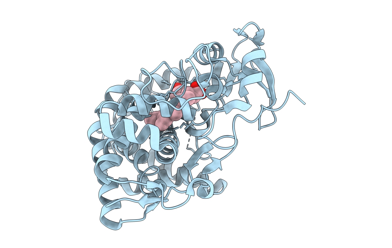 3E5J image