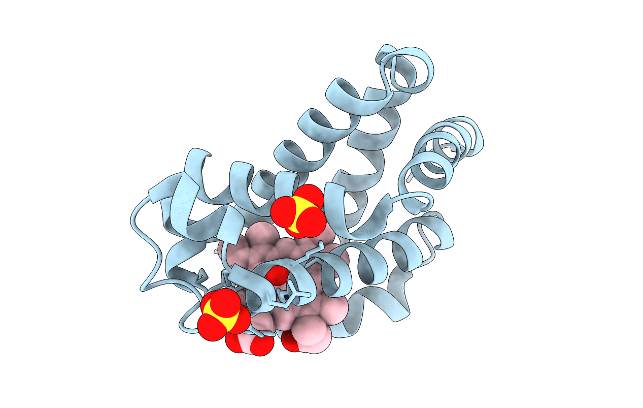 3E5O image