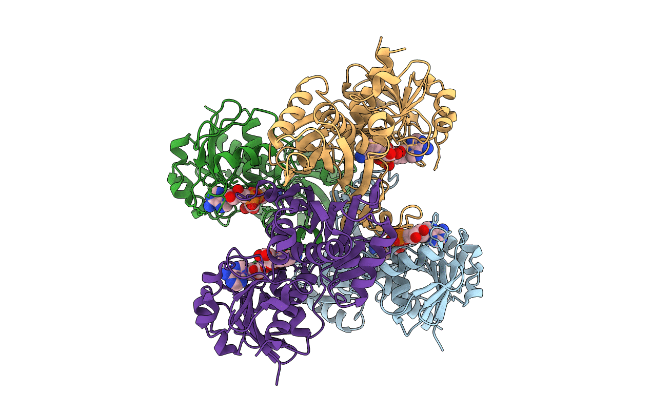 3E5R image