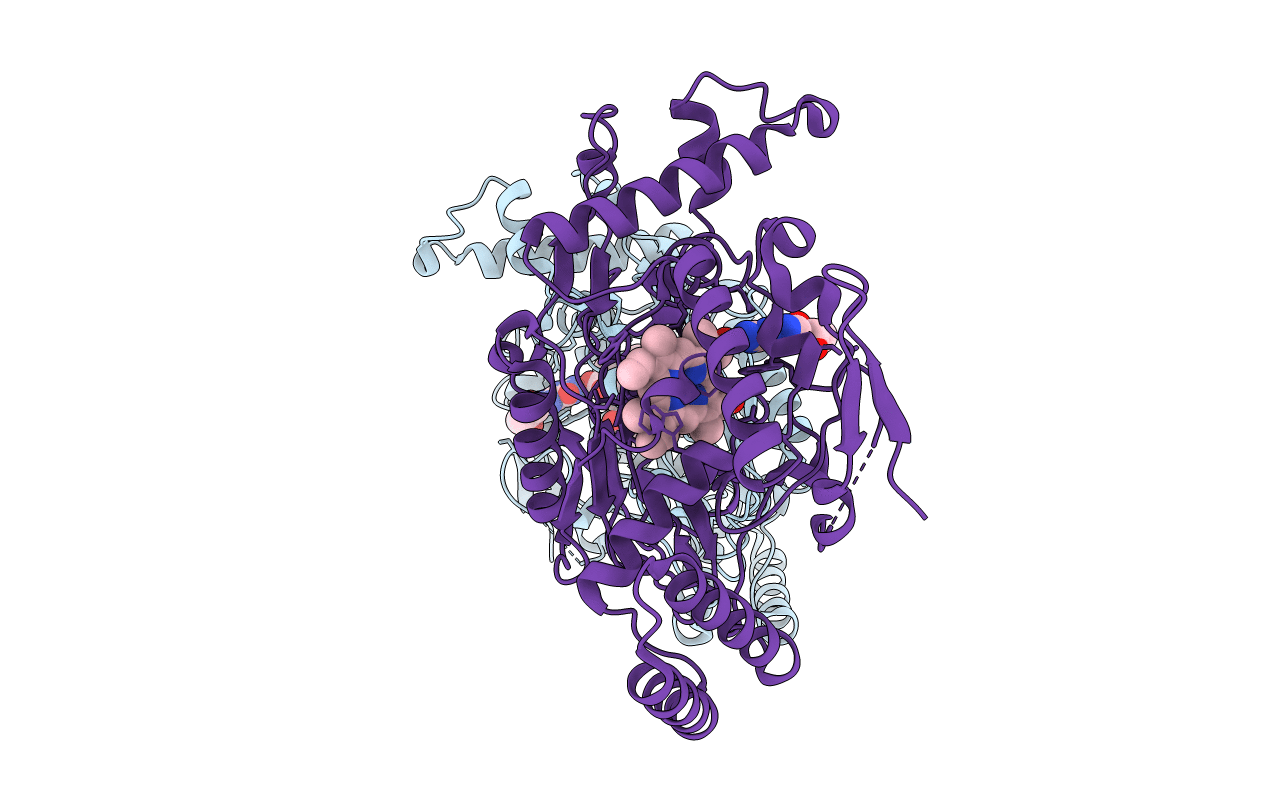 3E67 image