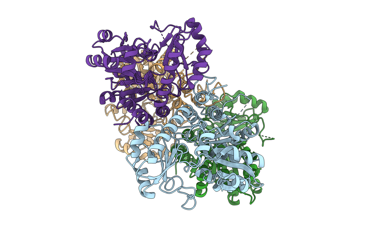 3E6G image