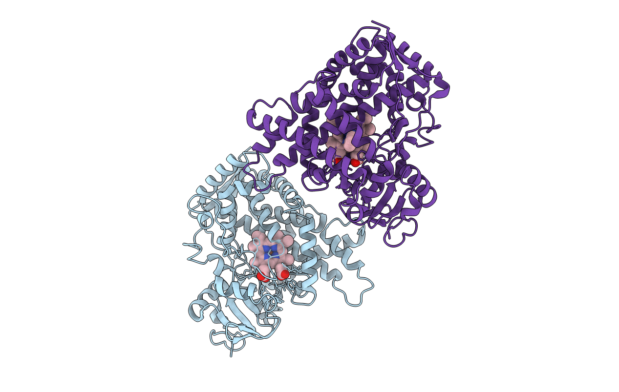 3E6I image