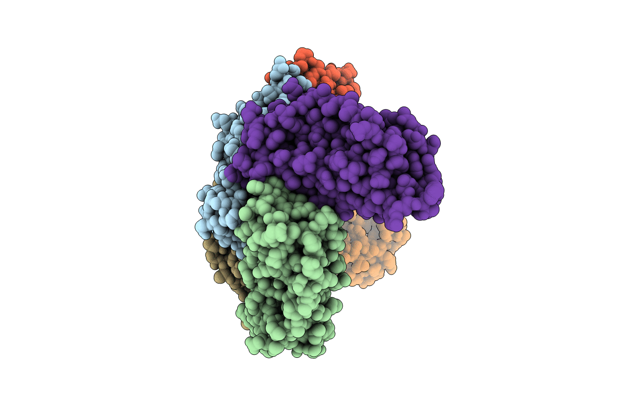 3E6R image