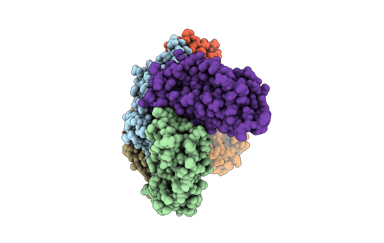 3E6S image