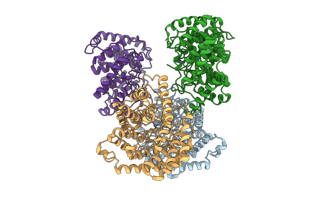 3E6U image