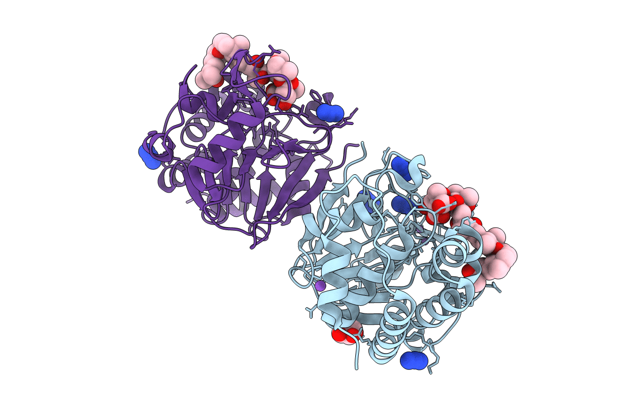 3E7B image