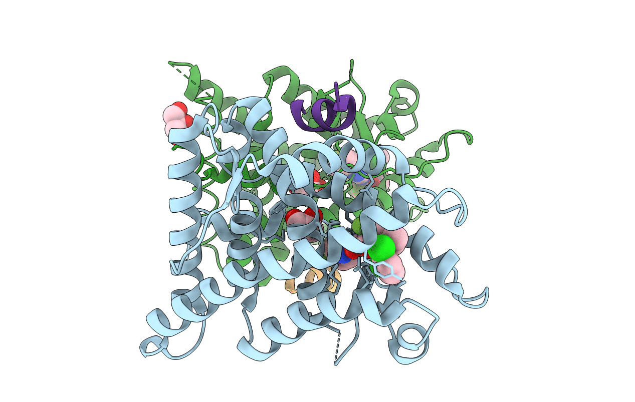 3E7C image