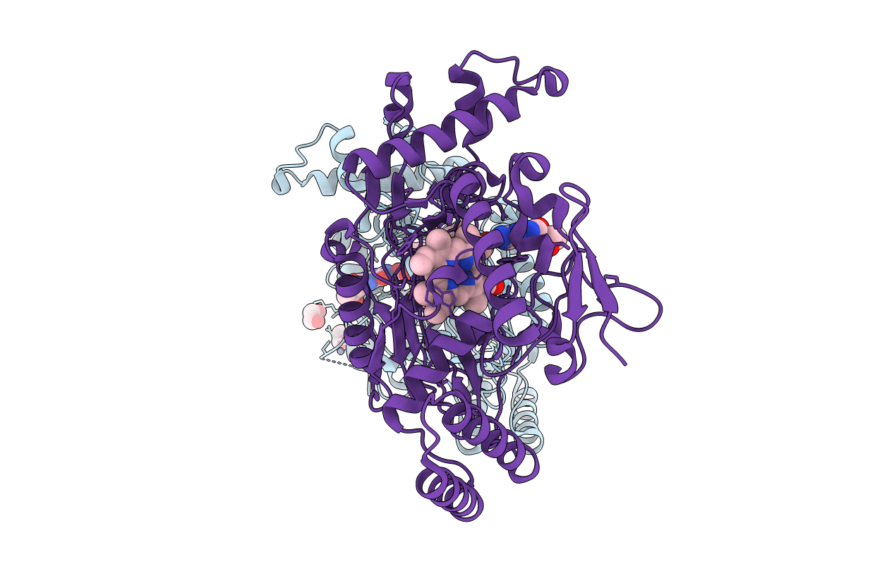 3E7M image
