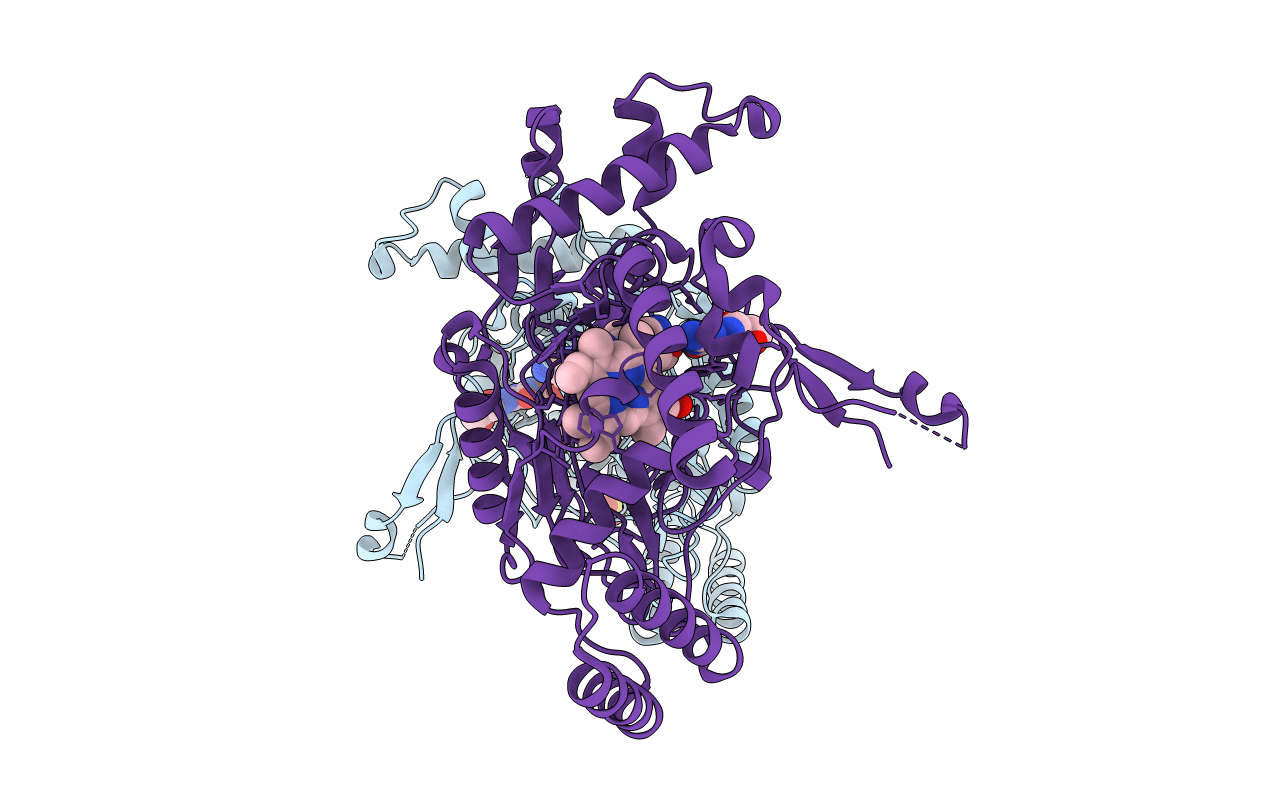3E7T image