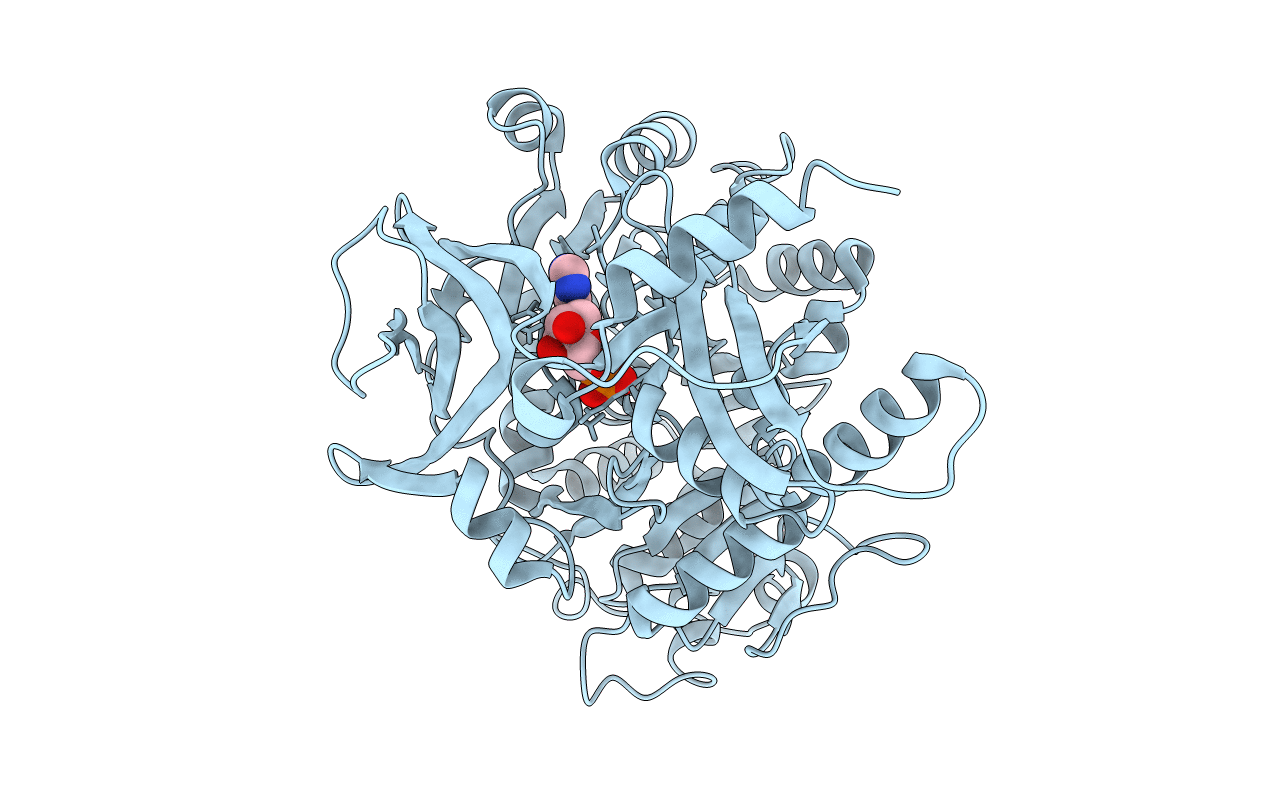 3E7X image