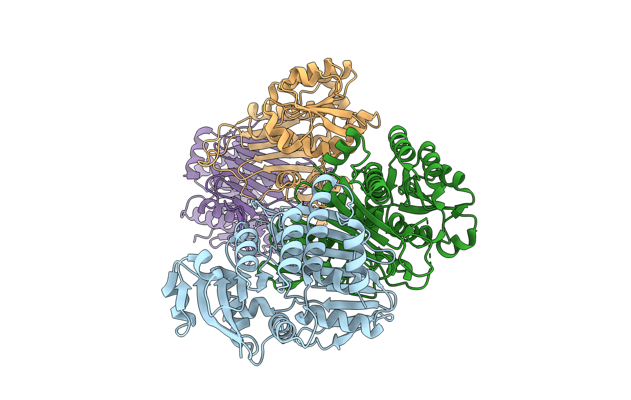 3E82 image