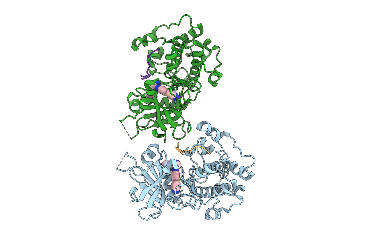 3E87 image