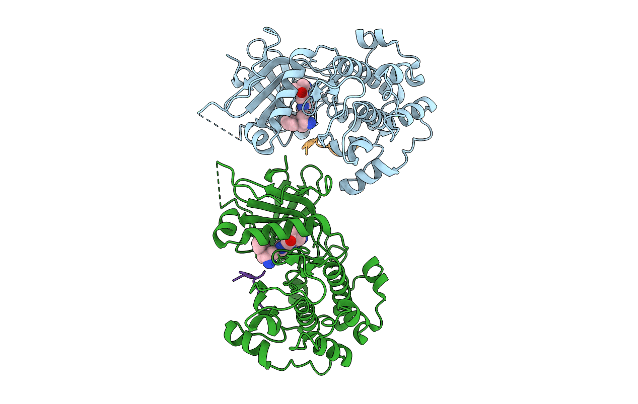3E88 image