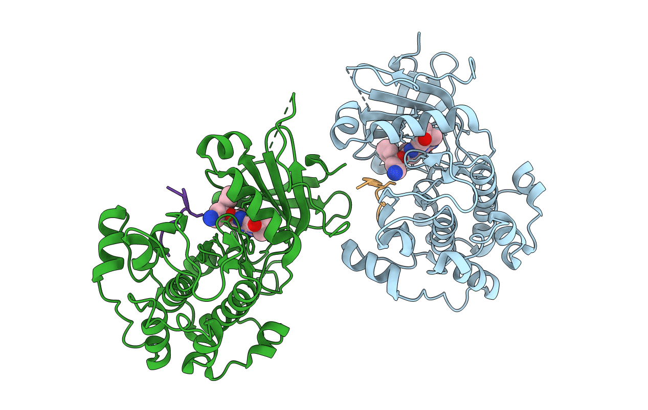 3E8D image