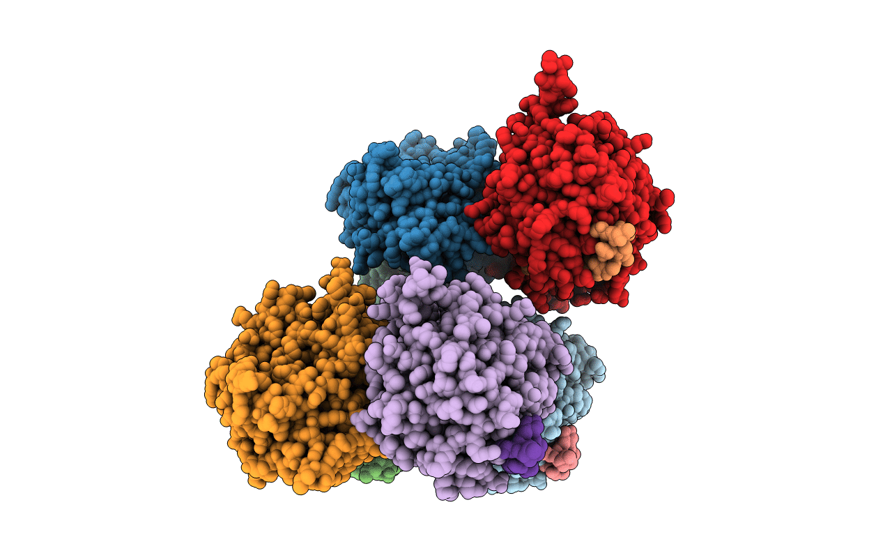3E8E image