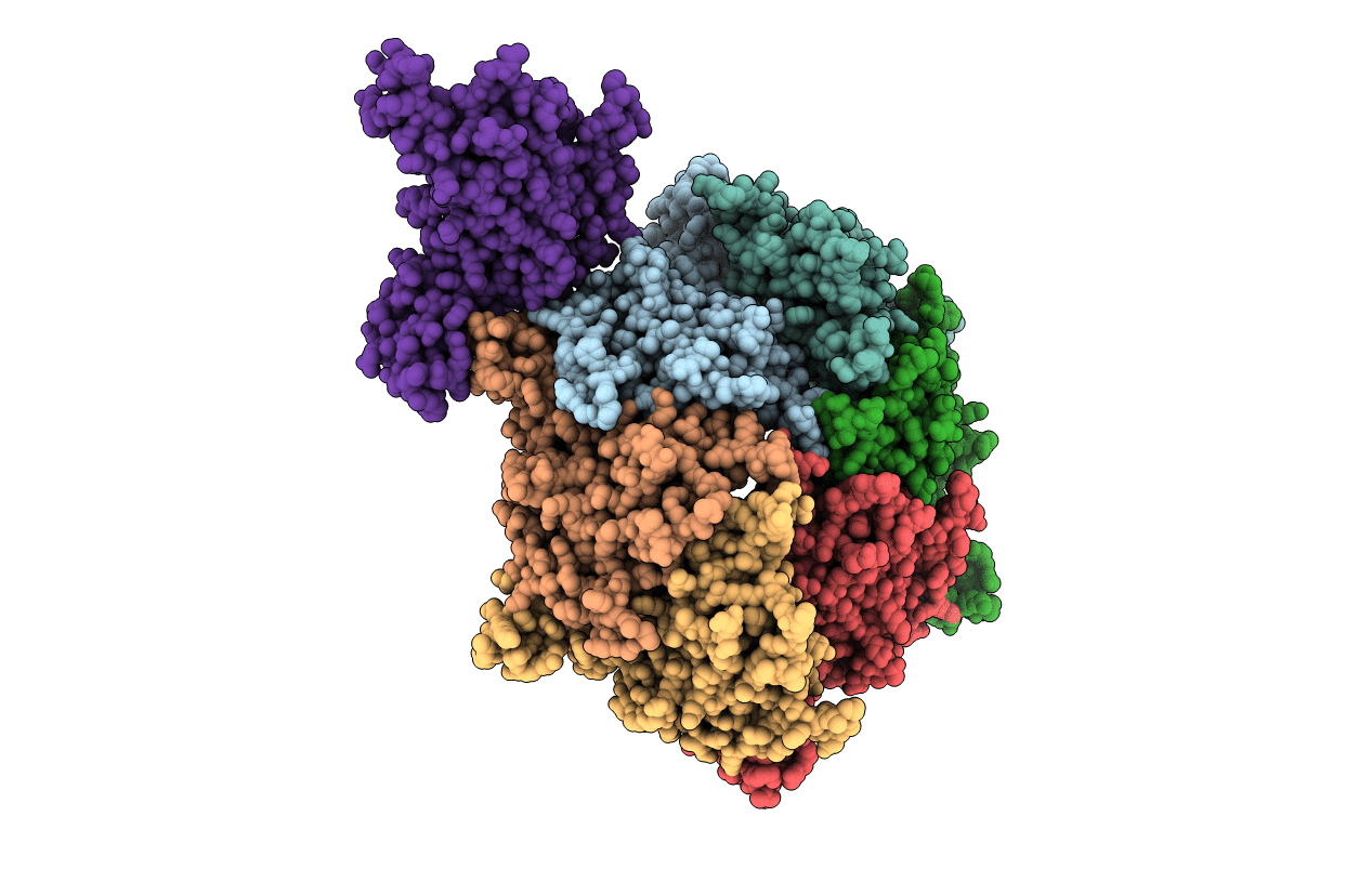 3E8K image