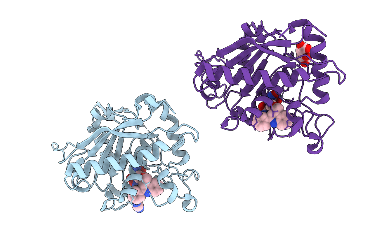 3E8R image