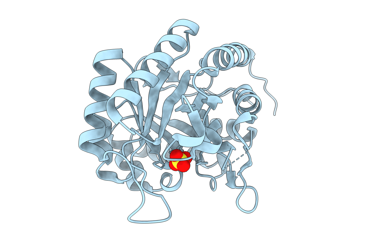 3E9A image