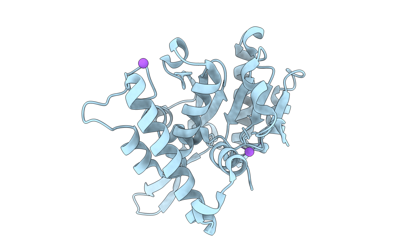 3E9L image
