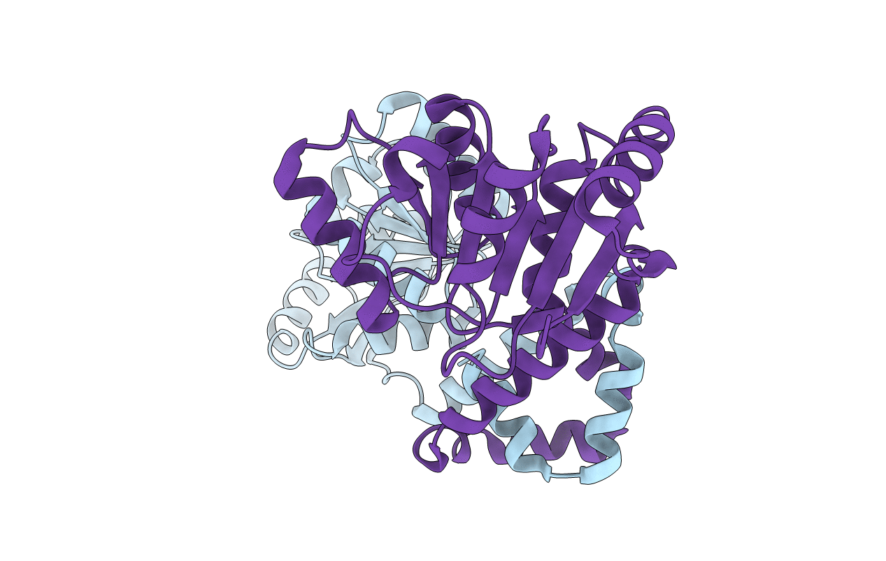 3eas image