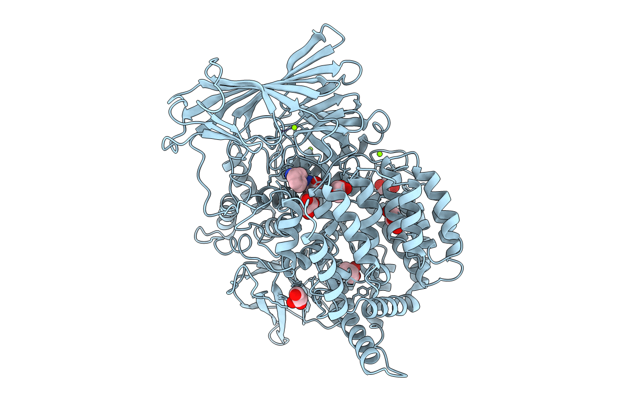 3EBH image