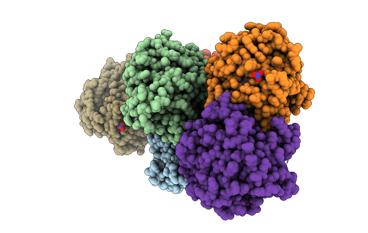 3EBL image