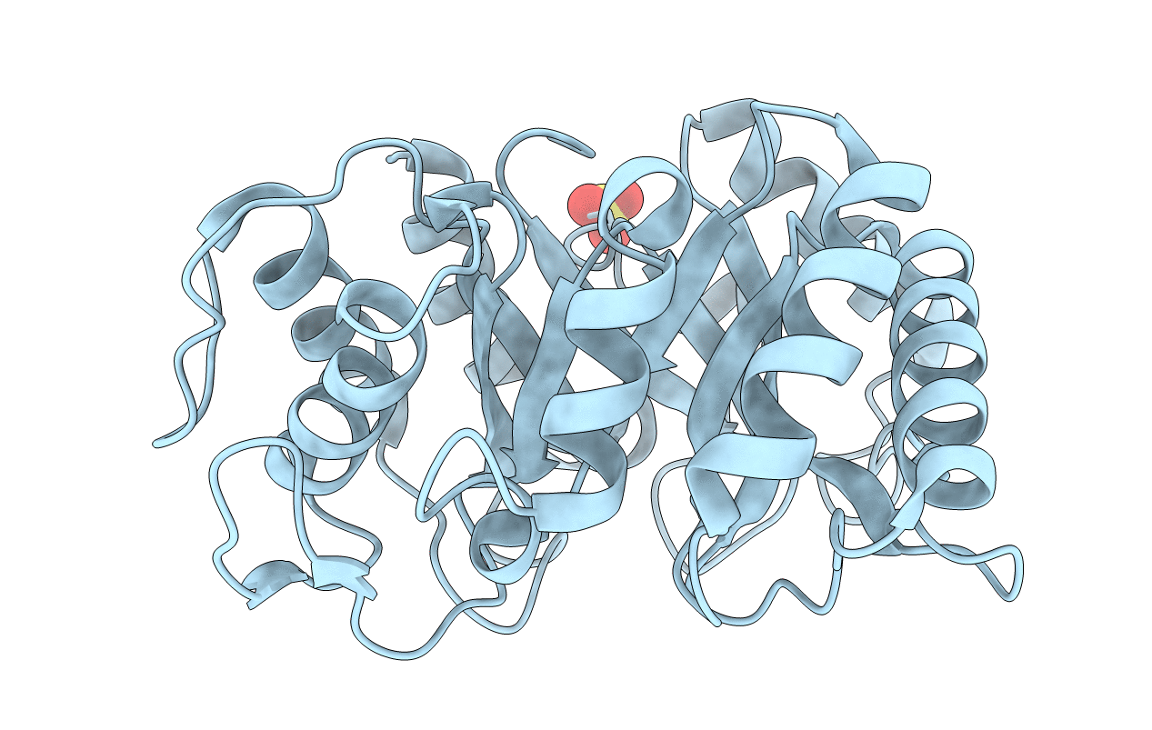 3EBV image