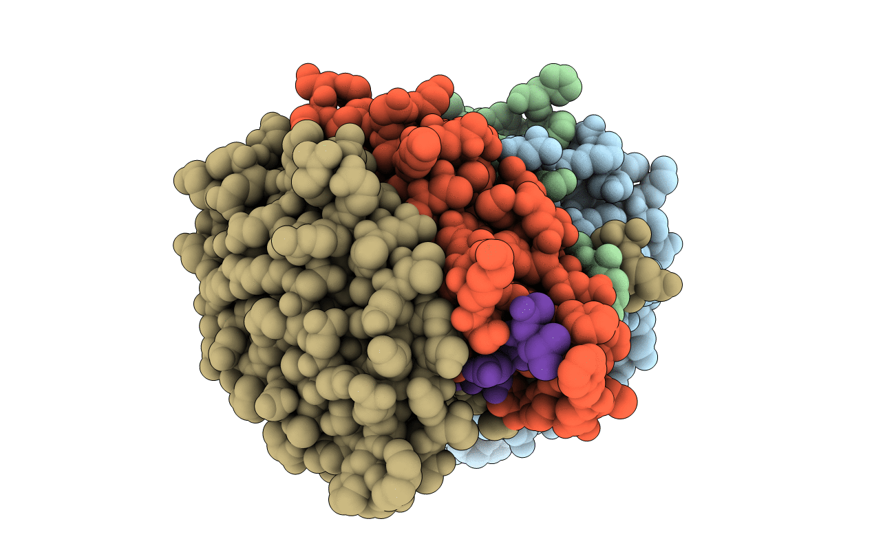 3EDQ image
