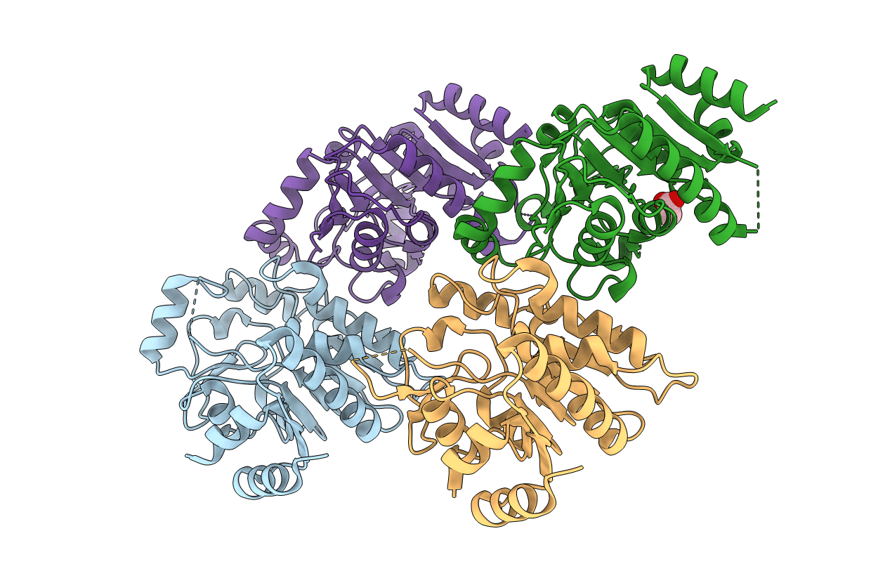 3EFB image