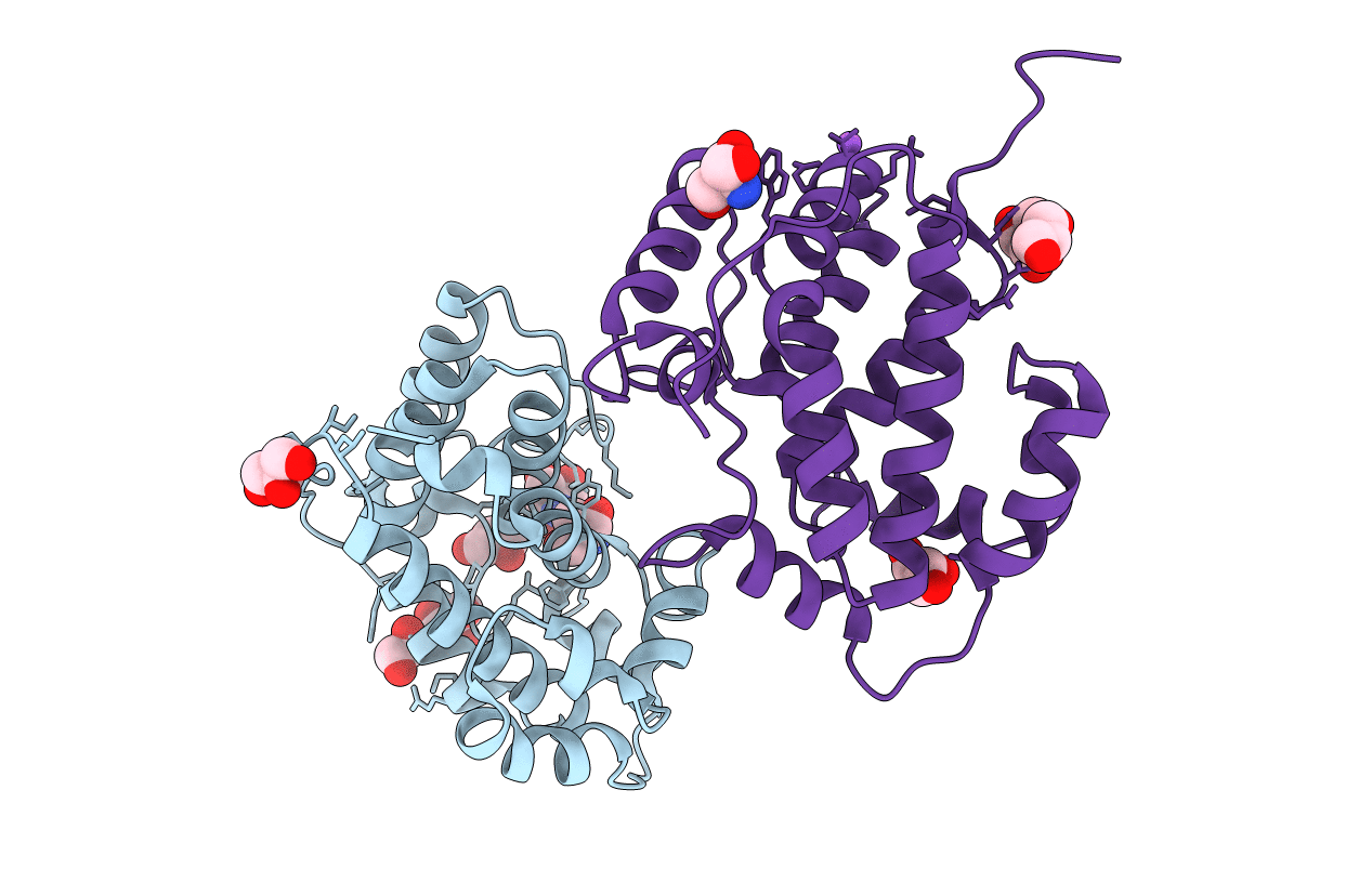 3EFP image