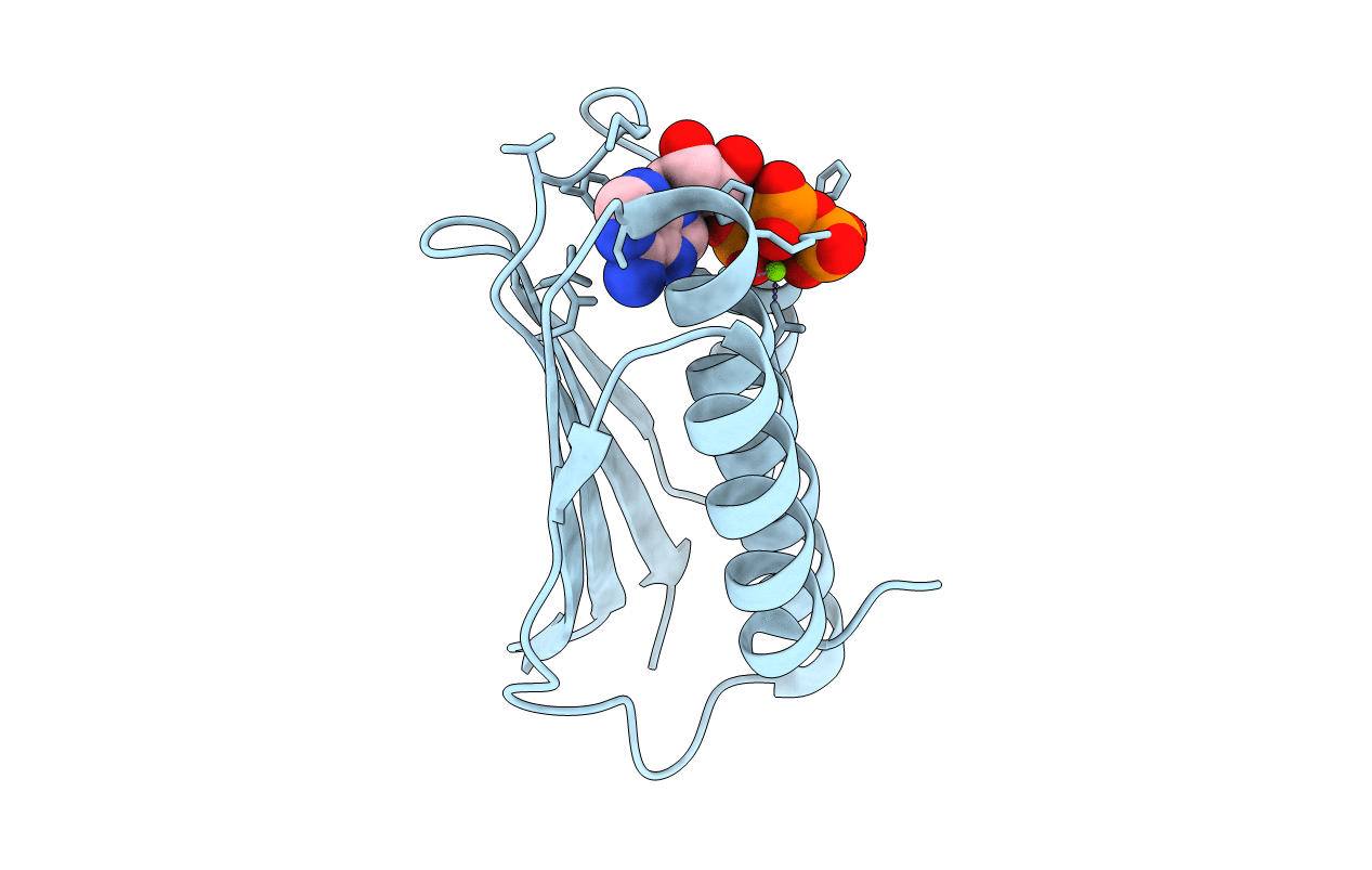 3EHG image