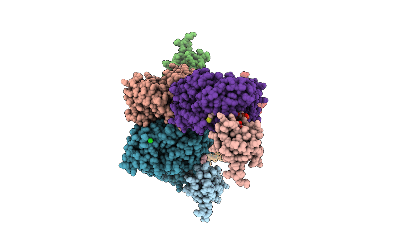 3EJB image