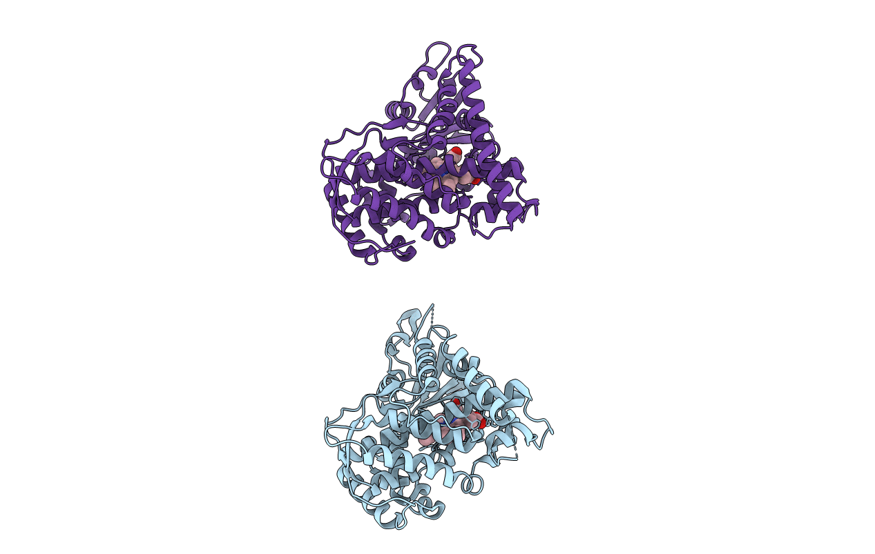3EKB image
