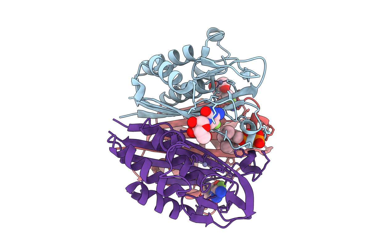 3ELC image