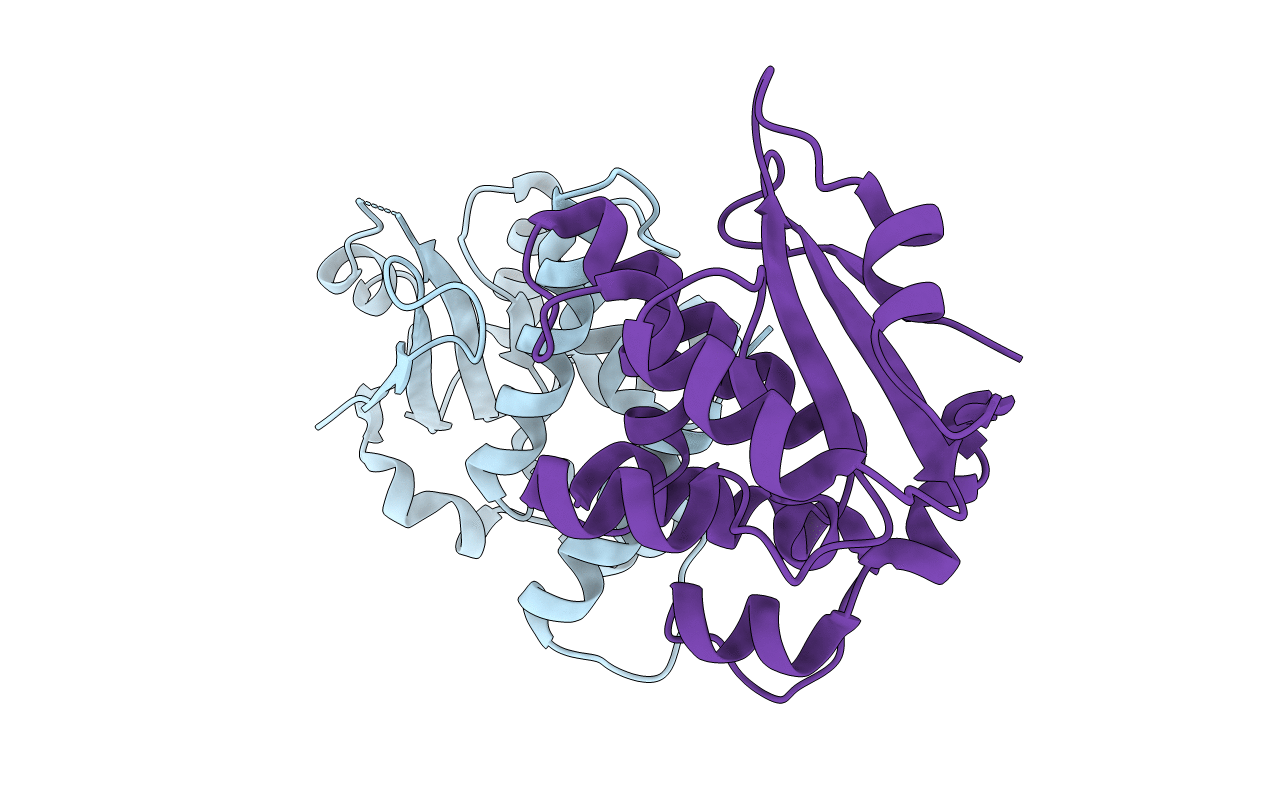 3ENP image
