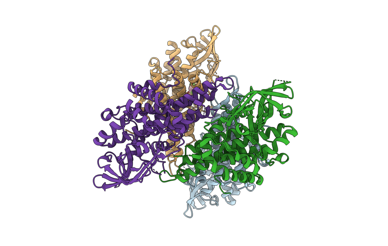 3EON image