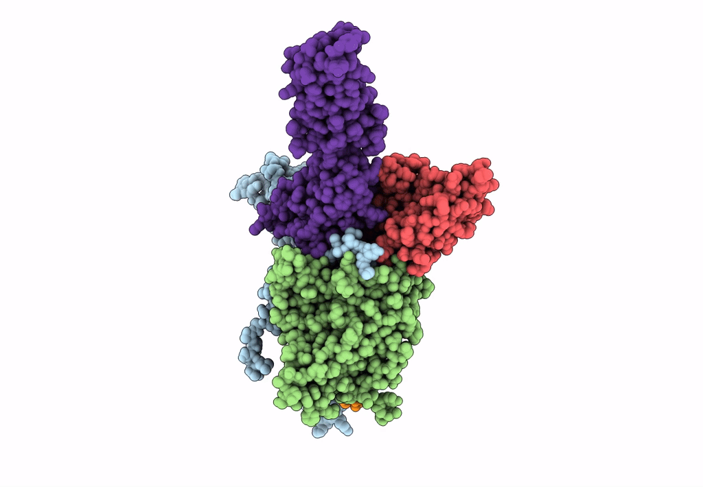 3EPC image
