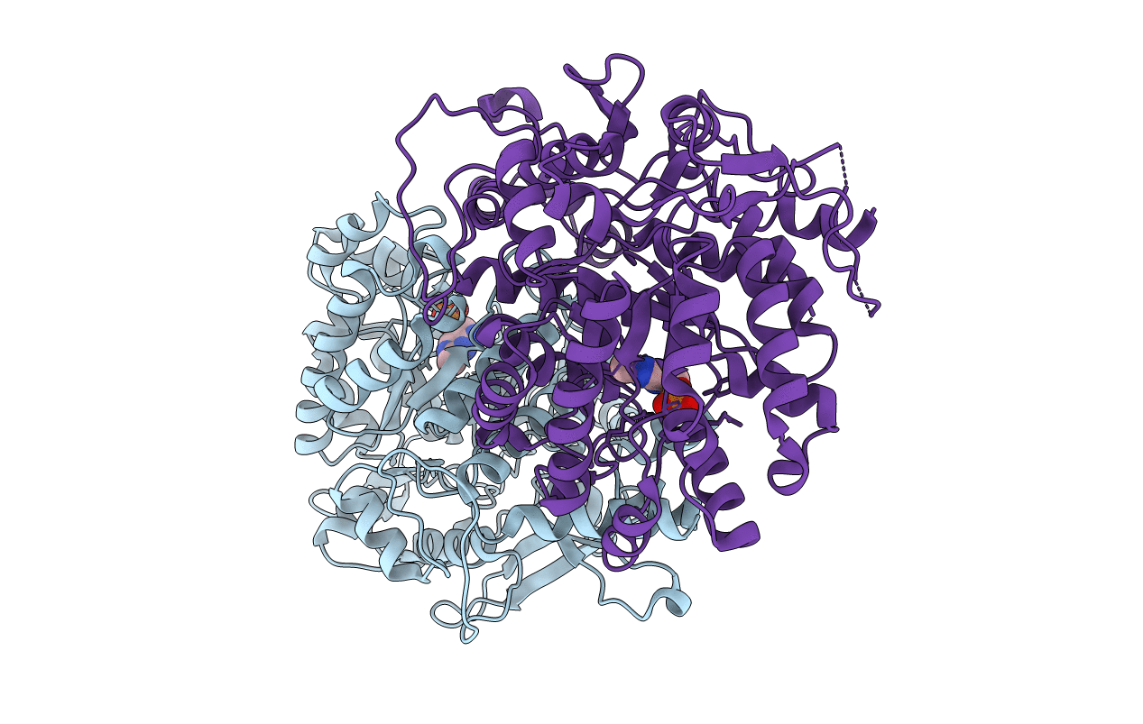3EPO image