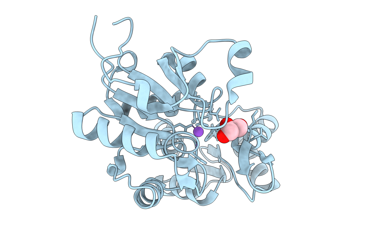 3EPR image