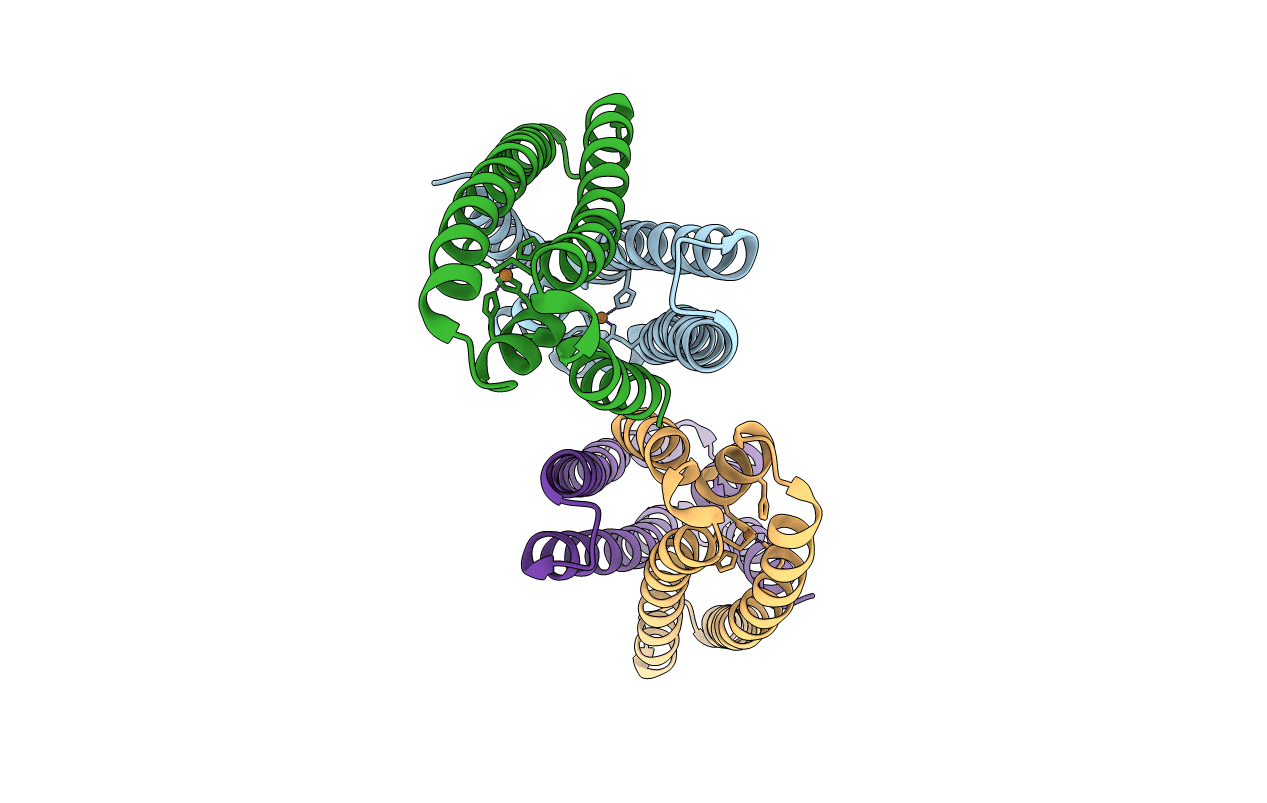 3EPV image