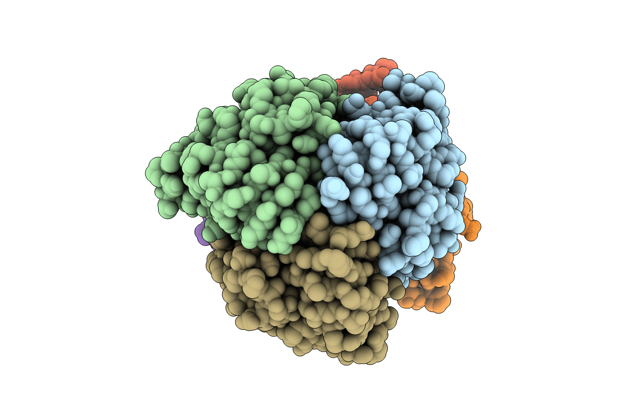 3ERN image