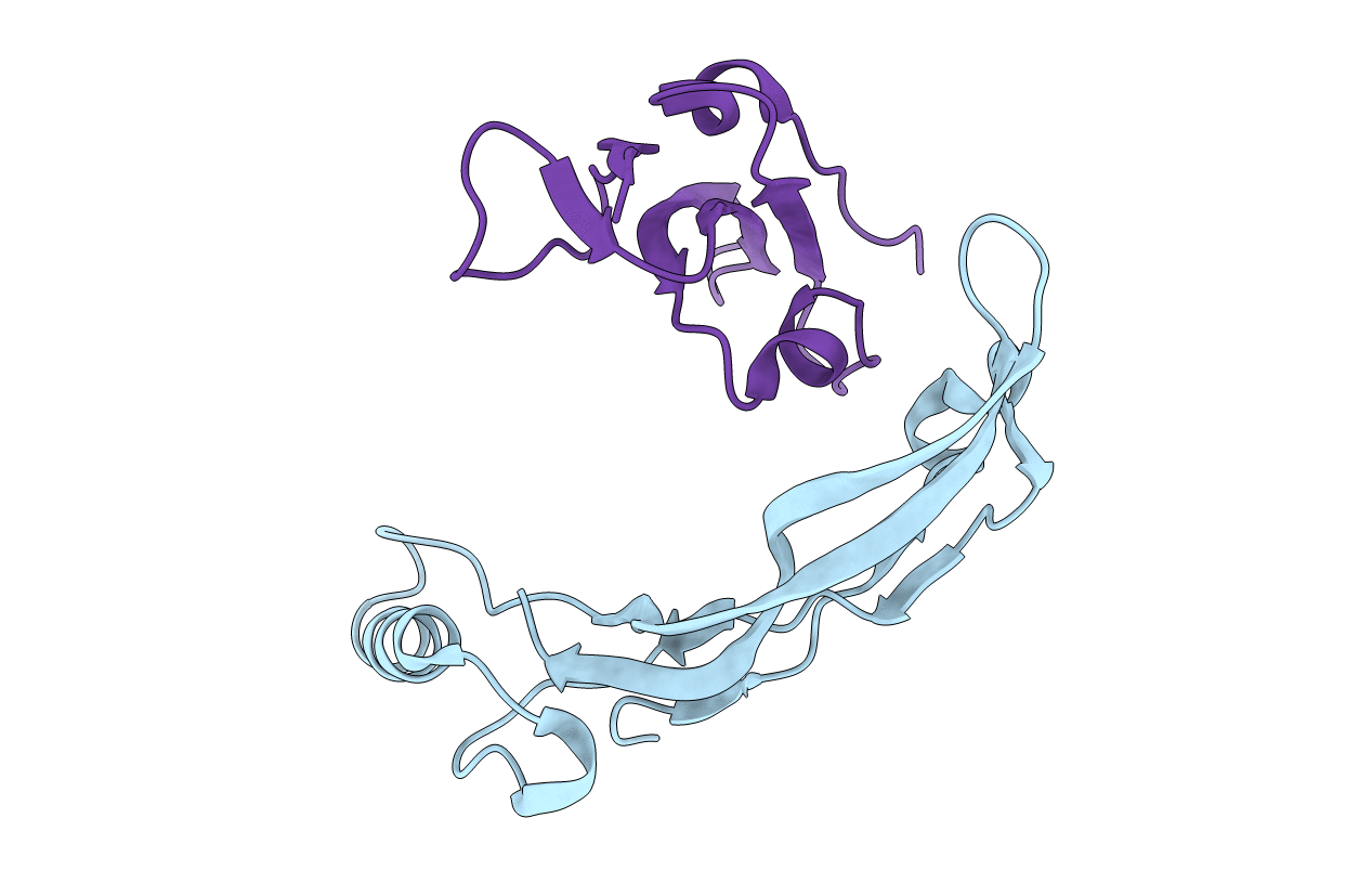 3EVS image