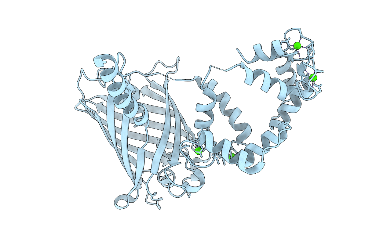 3EVV image