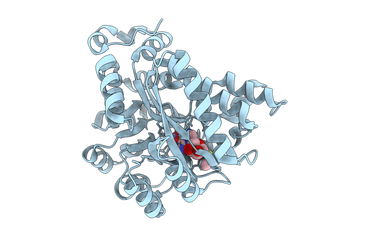 3EWC image