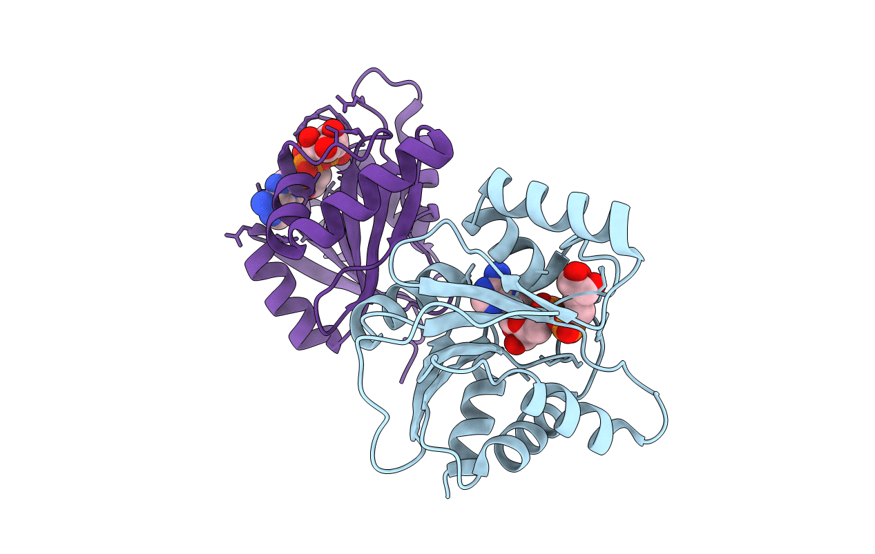 3EWP image