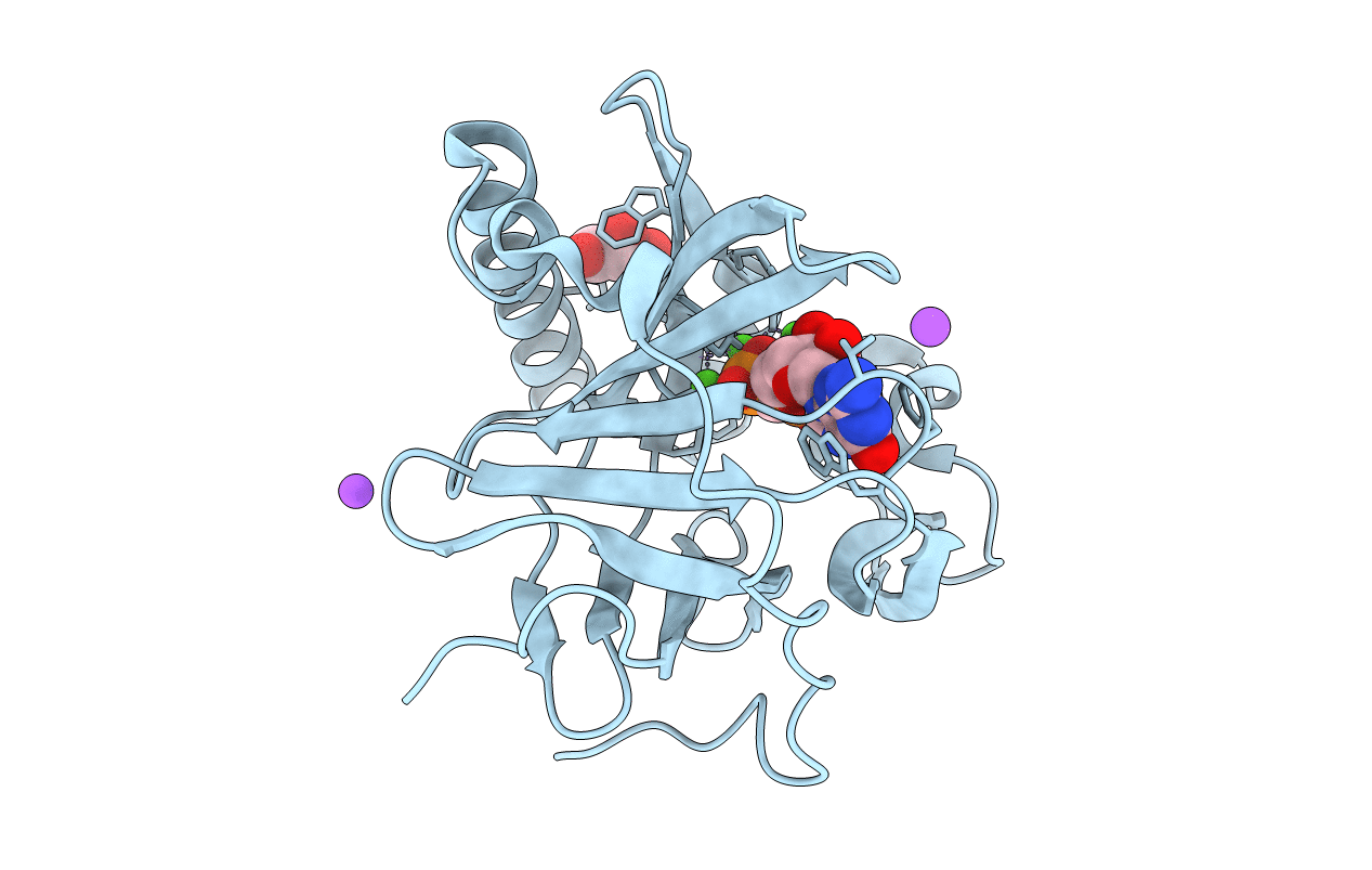 3EXM image