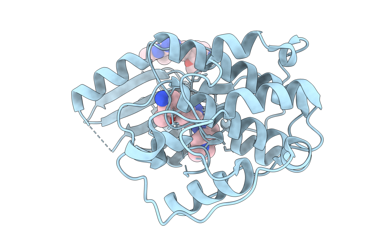 3EZR image