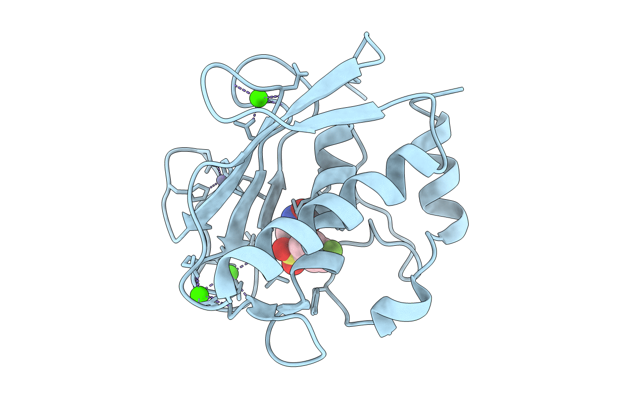 3F19 image