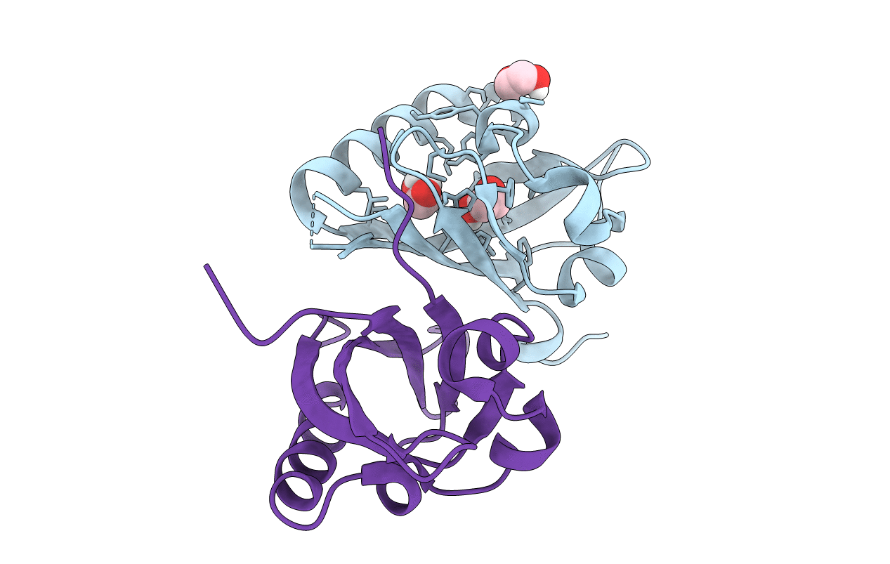 3F1N image